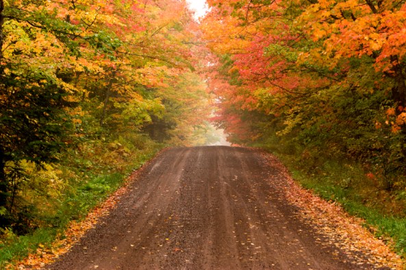 istock_000002179663small